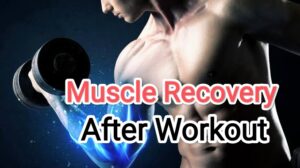 Muscle Recovery After Your Workout